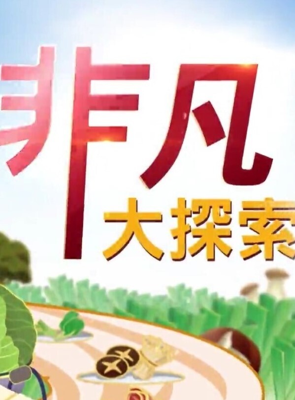 网爆门事件黑龙江家装设计师吴金娜超级喜欢被肉棒操到高潮来寻找灵感淫荡的样子像极了母狗 - 91看片网